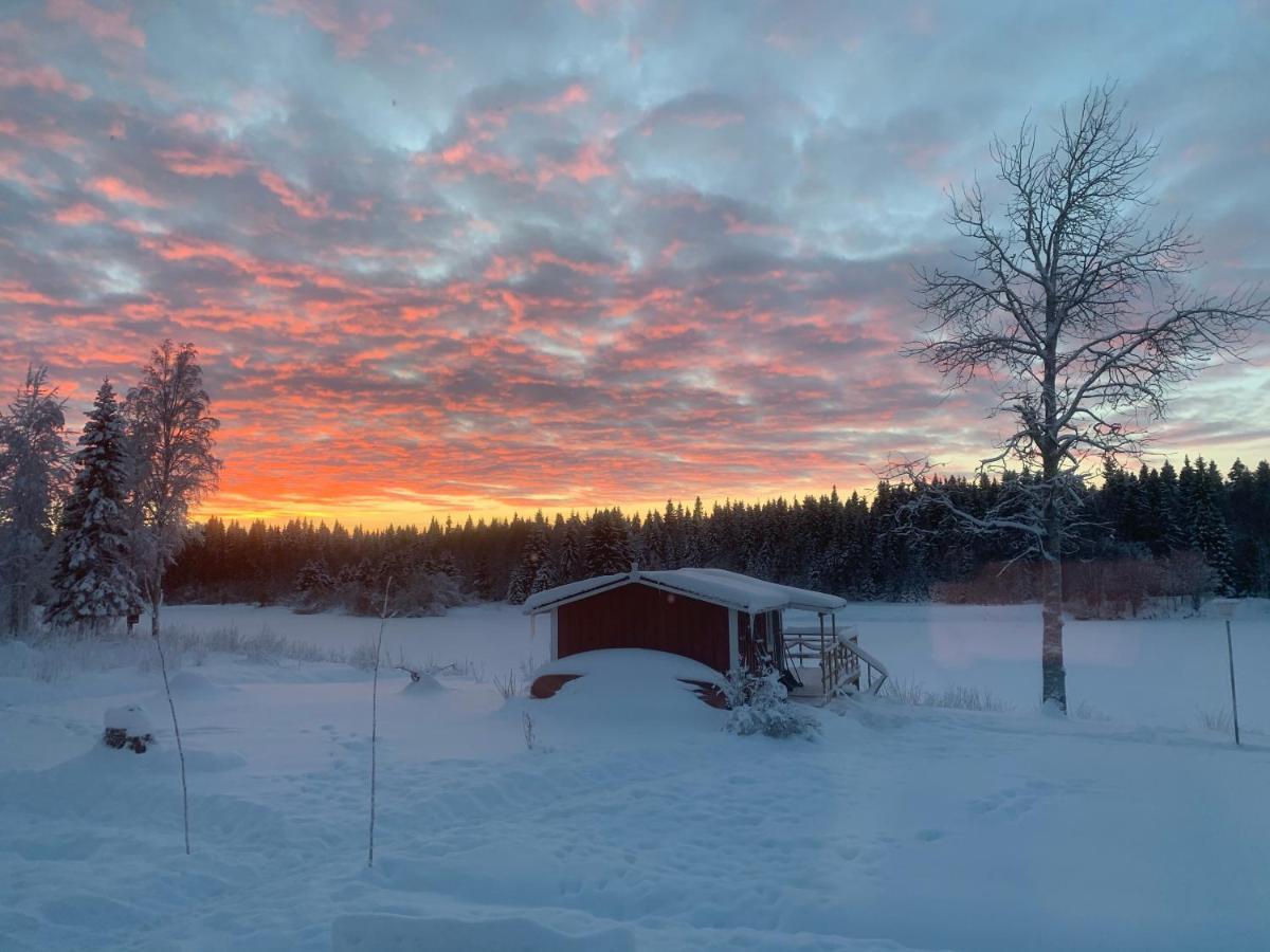 Willa Luxus Tiny House Saagala Tornio Zewnętrze zdjęcie