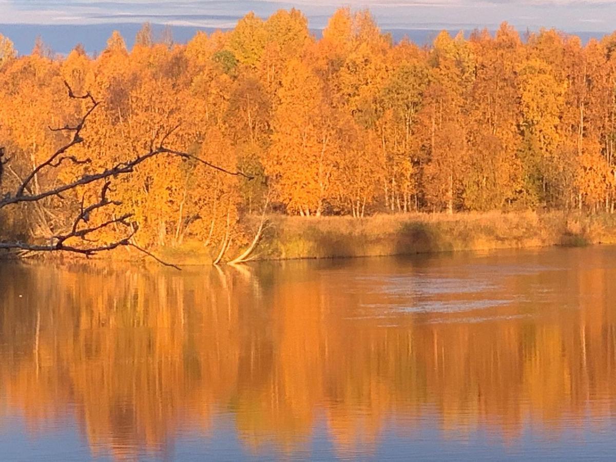 Willa Luxus Tiny House Saagala Tornio Zewnętrze zdjęcie